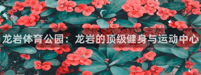千亿国际官方正版app娱乐代理怎么样：龙岩体育公园：