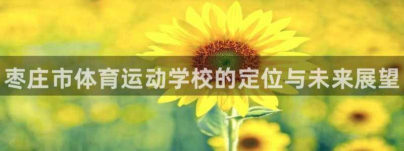 千亿国际官方正版app科技：枣庄市体育运动学校的定位