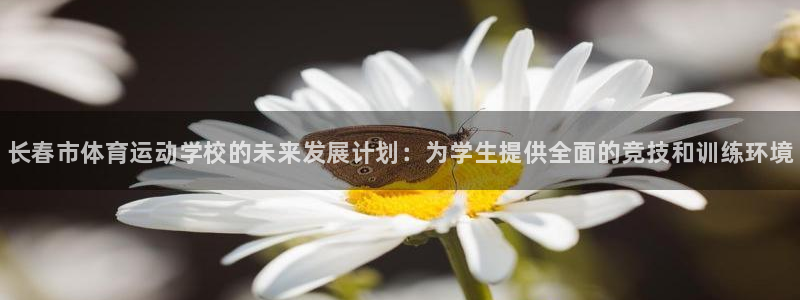 千亿国际官方正版app集团官网网址：长春市体育运动学