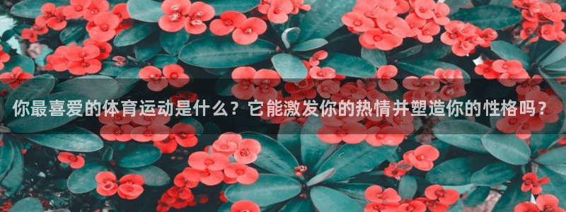 千亿国际官方正版app集团简介：你最喜爱的体育运动是
