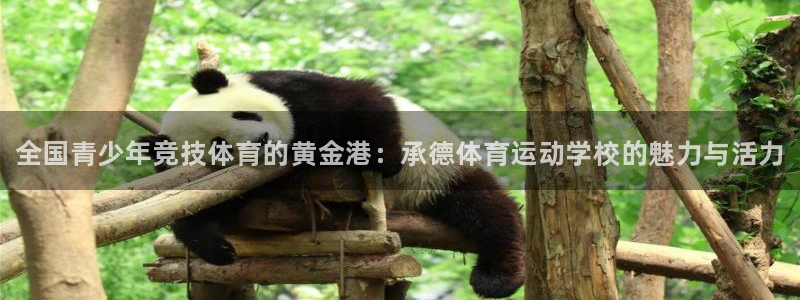 千亿国际官网下载招商电话是多少