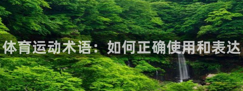 千亿国际官网下载平台是正规平台吗安全吗：体育运动术语