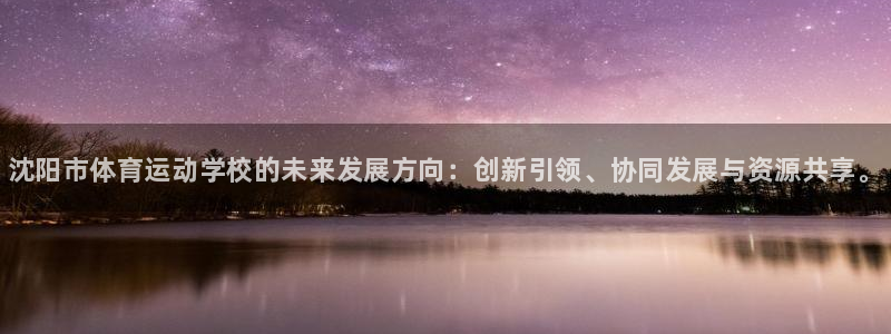 千亿国际官方正版app官方：沈阳市体育运动学校的未来