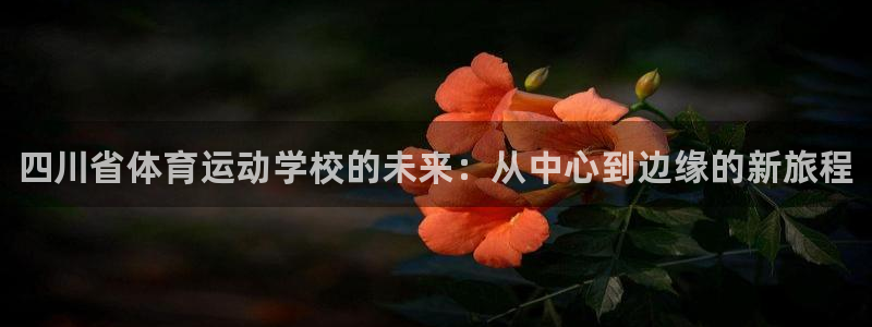 千亿国际官方正版app五金厂：四川省体育运动学校的未