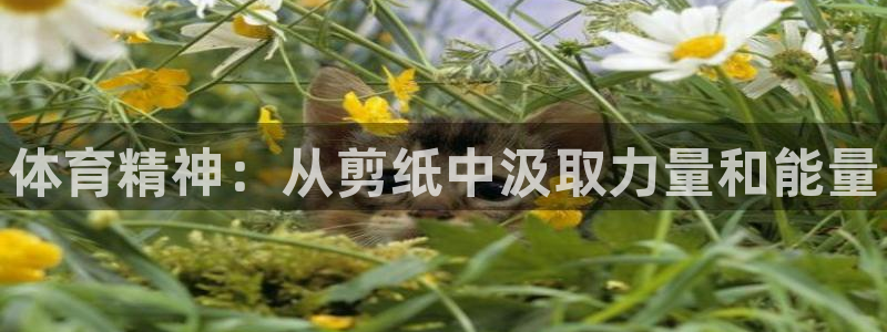 千亿国际官网下载平台是正规平台吗：体育精神：从剪纸中