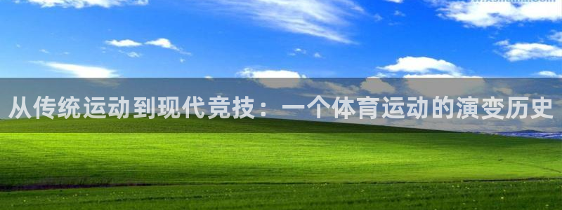 德国千亿国际官方正版app集团：从传统运动到现代竞技