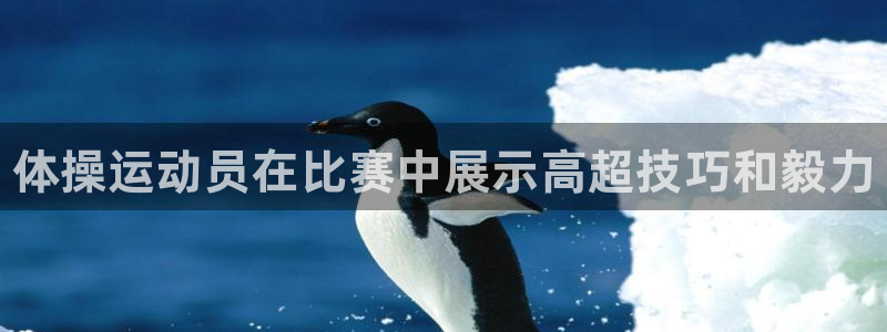 千亿国际官网下载招商电话是多少号码