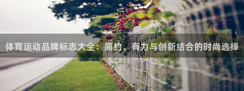 千亿国际官网下载招商：体育运动品牌标志大全：简约、有力与创新
