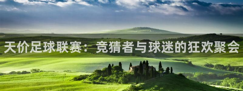 千亿国际官方正版app官网：天价足球联赛：竞猜者与球迷的狂欢