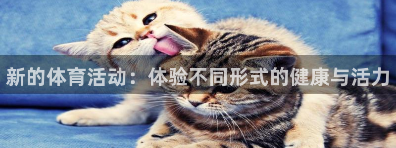 千亿国际官方正版app娱乐首页官网下载