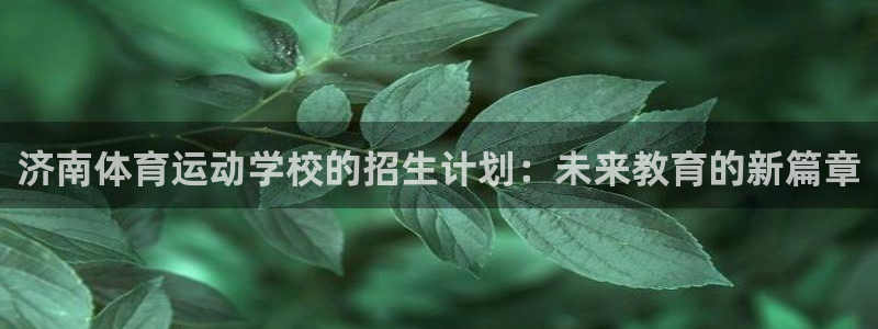 千亿国际官方正版app代理：济南体育运动学校的招生计划：未来