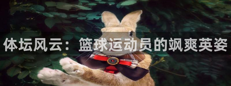 千亿国际官方正版app娱乐代理怎么样：体坛风云：篮球运动员的