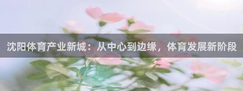 千亿国际官网下载招商电话是多少号码：沈阳体育产业新城：从中心