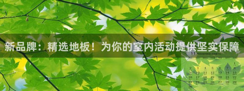 千亿国际官方正版app官网：新品牌：精选地板！为你的室内活动