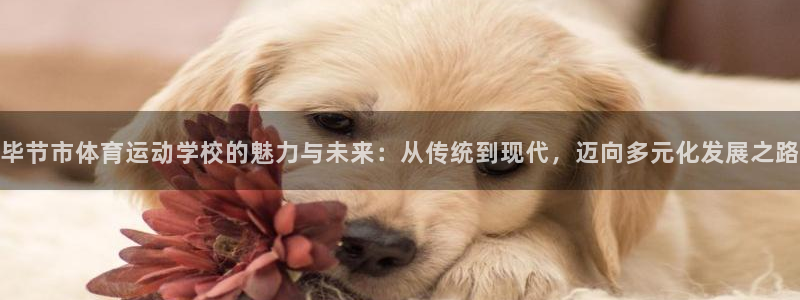 千亿国际官方正版app集团：毕节市体育运动学校的魅力与未来：