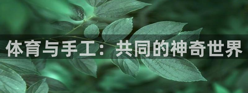 千亿国际官网下载招商电话是多少号码