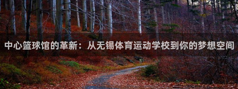 千亿国际官网下载招商电话号码是多少号：中心篮球馆的革