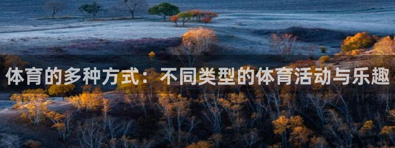 千亿国际官方正版app集团：体育的多种方式：不同类型的体育活