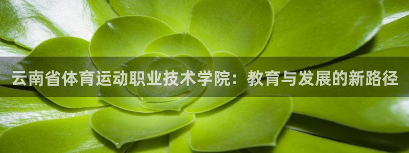 千亿棋牌官方网站：云南省体育运动职业