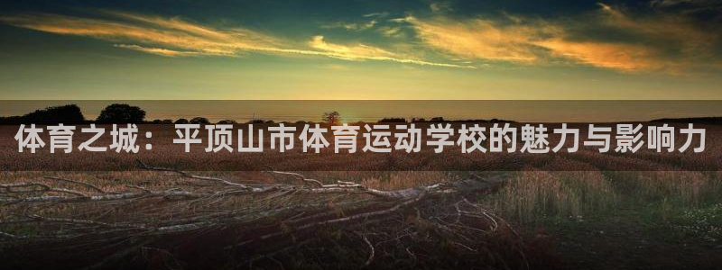 千亿集团老板娘：体育之城：平顶山市体