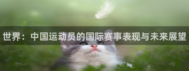  千亿国际下载：世界：中国运动员的国际赛事表现与未来展望