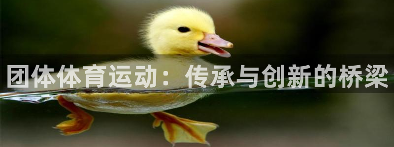 千亿国际手机版唯一官网下载：团体体育