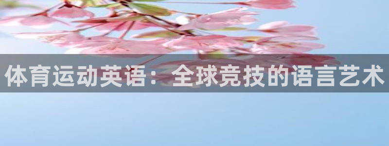 千亿棋牌官网最新版：体育运动英语：全