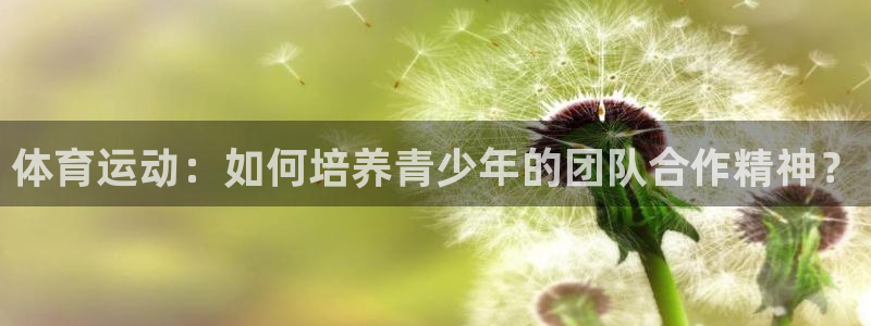 千亿游戏平台是什么：体育运动：如何培