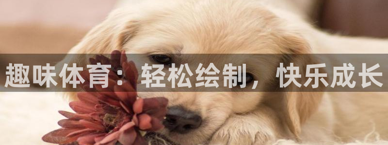  千亿棋牌qy711一一：趣味体育：轻松绘制，快乐成长
