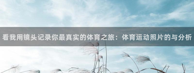 千亿官方网站va：看我用镜头记录你最