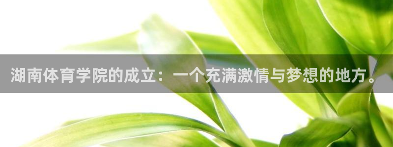 千亿游戏平台是什么：湖南体育学院的成