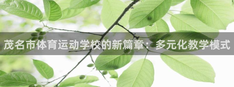  千亿国际唯一平台登录入口：茂名市体育运动学校的新篇章：多元化