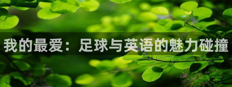 千亿棋牌坑：我的最爱：足球与英语的魅
