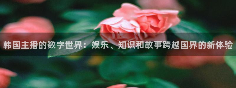 球神nba直播：韩国主播的数字世界：娱乐、知识和故事跨越国界的新体验