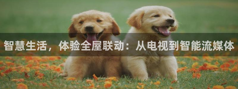 qszb球神直播首页：智慧生活，体验全屋联动：从电视到智能流媒体