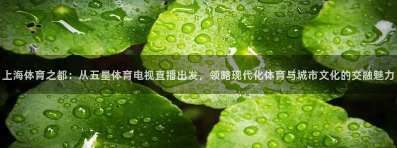 足球球神直播在线观看：上海体育之都：从五星体育电视直播出发，领略现代化体育与城市文化的交融魅力
