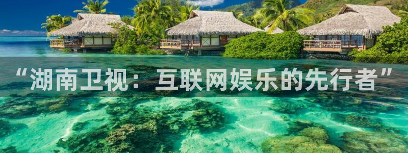 球神足球直播：“湖南卫视：互联网娱乐的先行者”